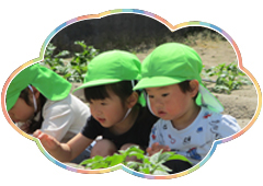 緑が丘幼稚園 ~私たちが目指すもの~